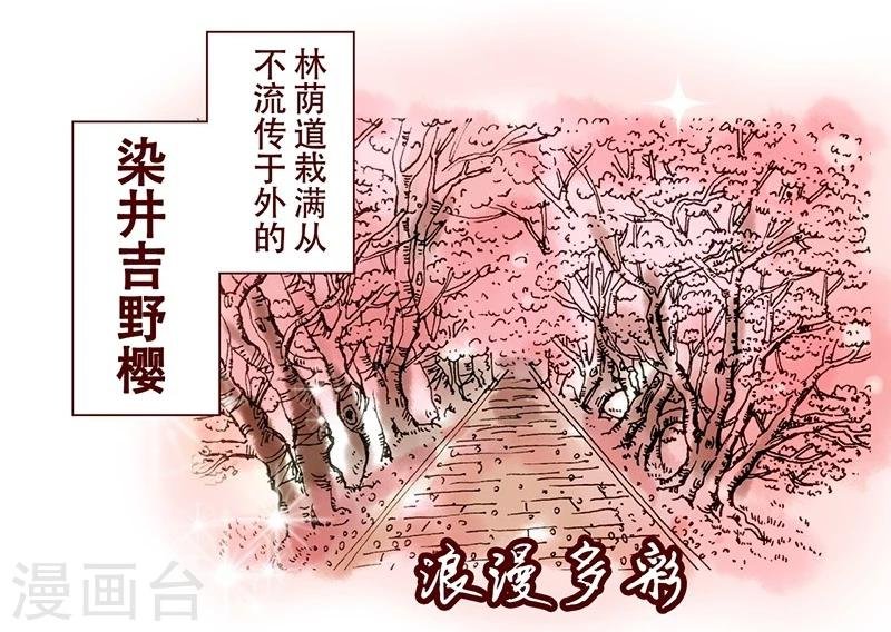 第17话 听甲方霸霸的话