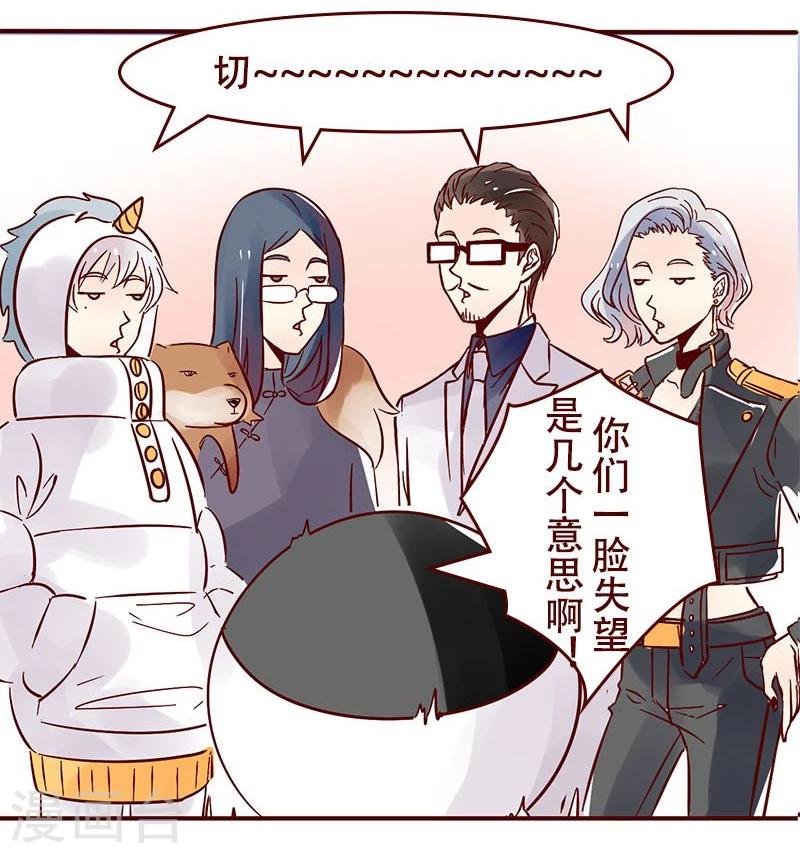 第41话 你不懂的小卡片