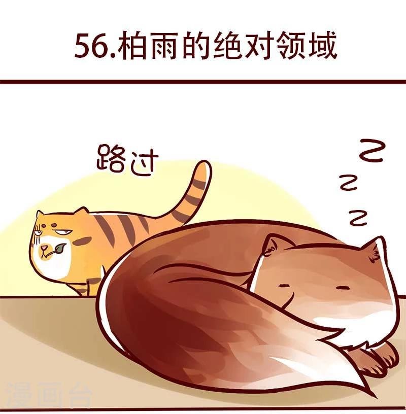 第56话 柏雨的绝对领域