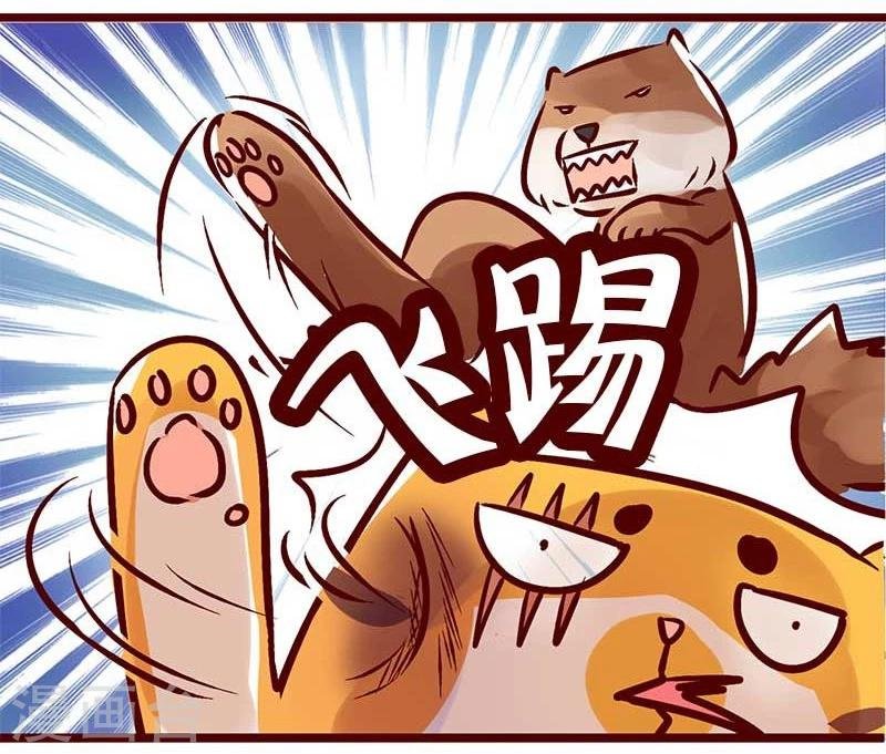 第56话 柏雨的绝对领域