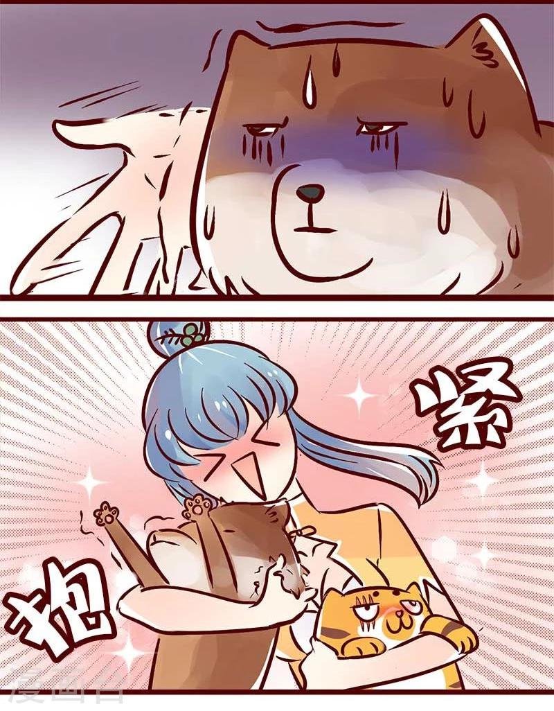 第56话 柏雨的绝对领域