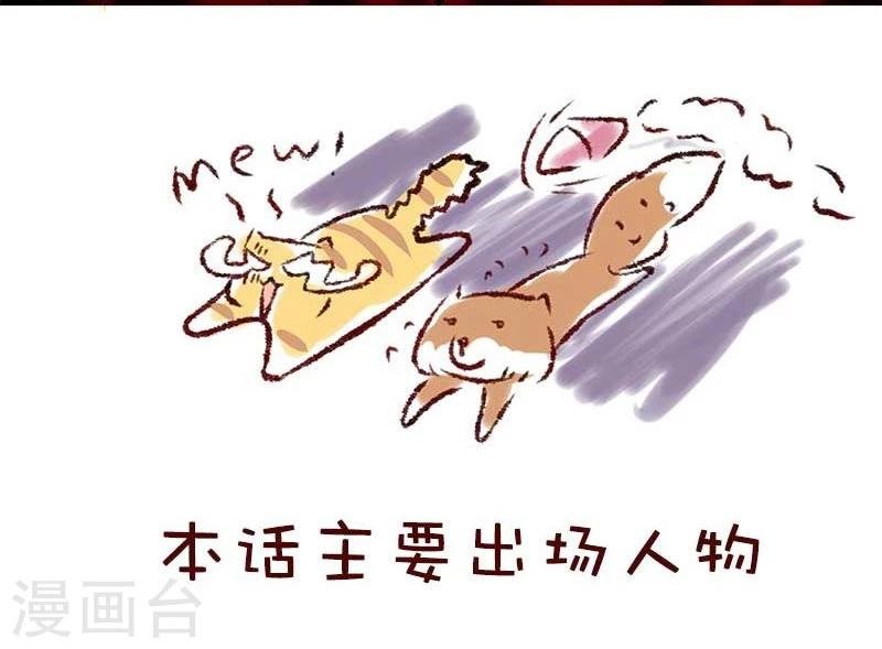第56话 柏雨的绝对领域