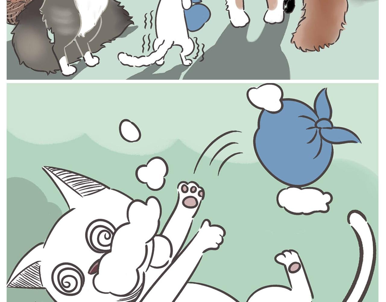 沙雕缅因喵&咸鱼土喵的爆笑日常