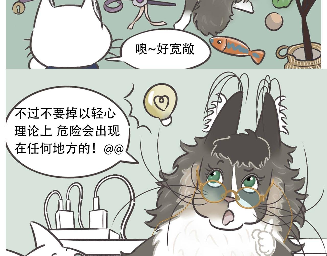 沙雕缅因喵&咸鱼土喵的爆笑日常