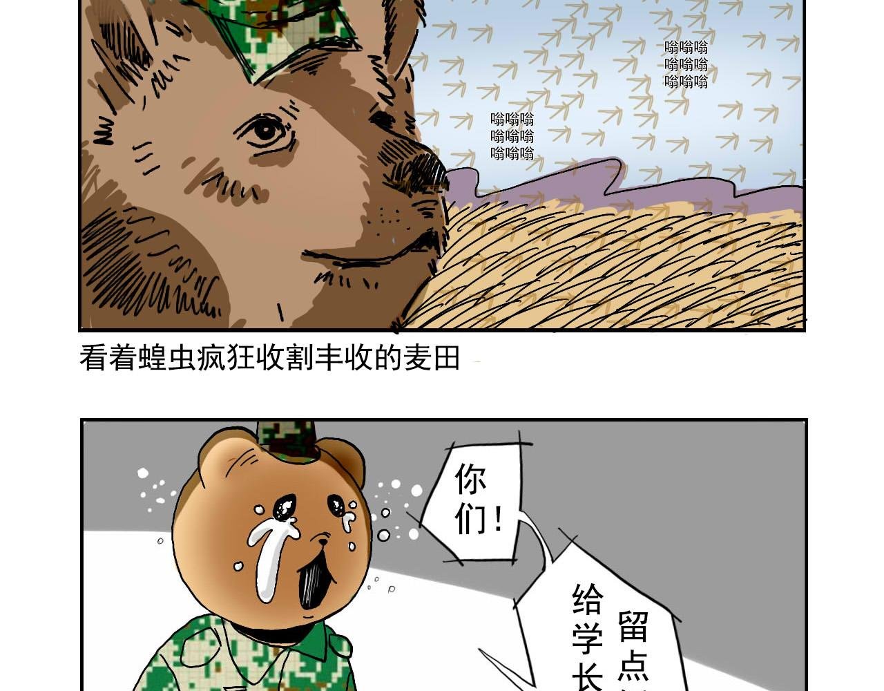 军训