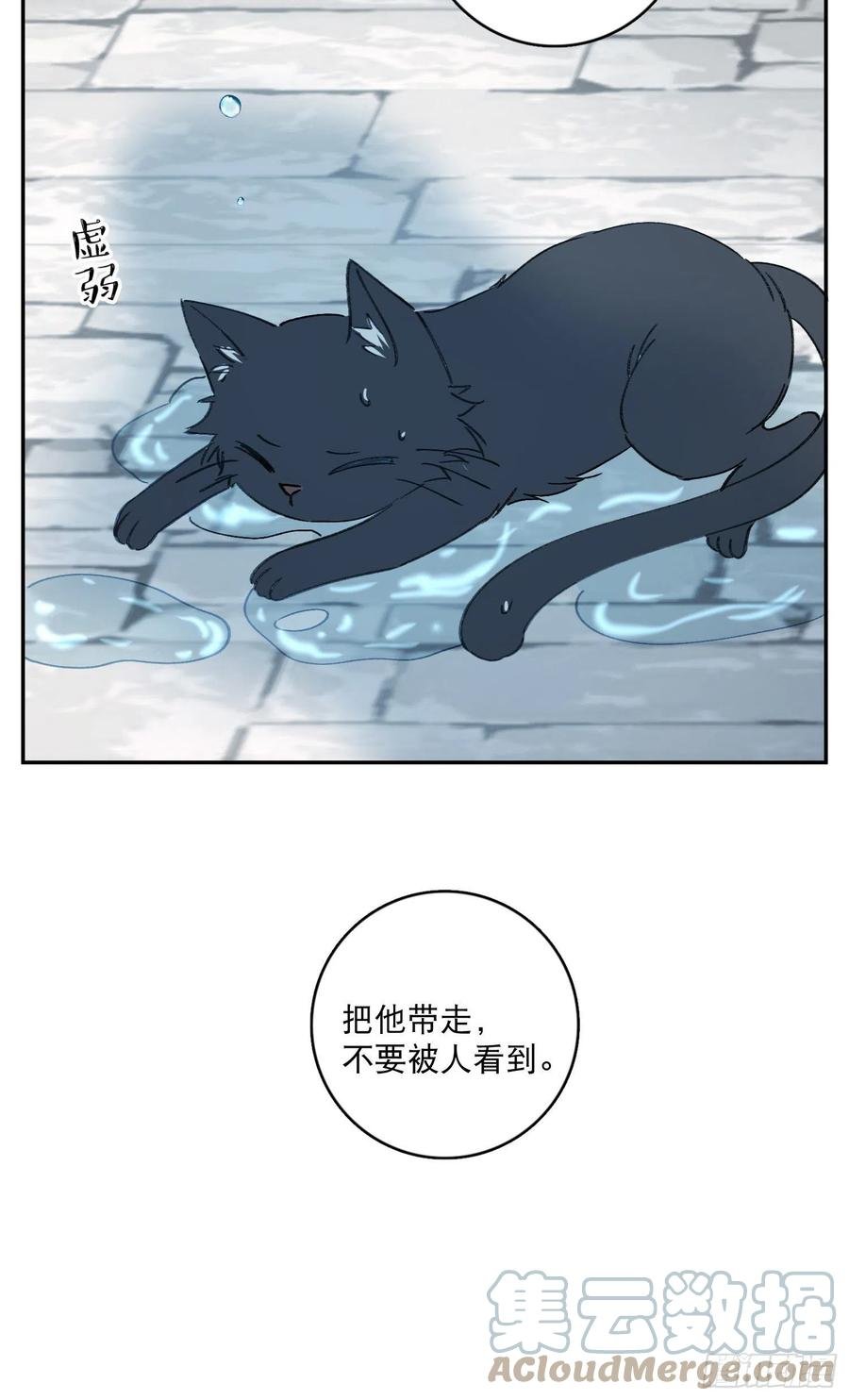 第68话-“可爱的小猫咪”