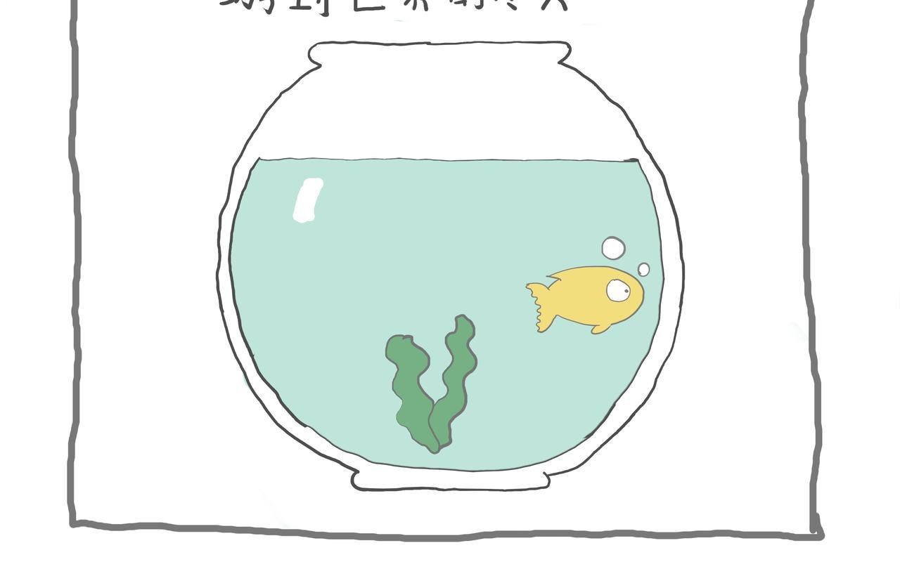一