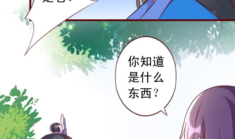 第60话 守护兽