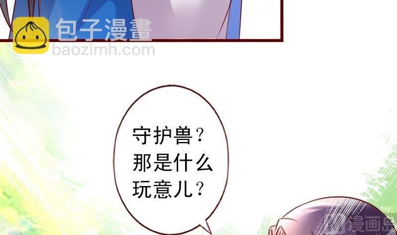 第60话 守护兽
