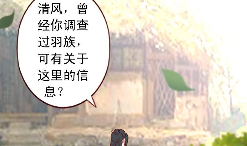 第64话 奇怪的圆圈