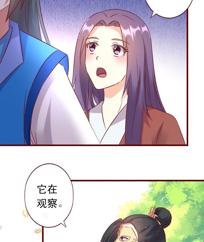 第65话 守护兽来了