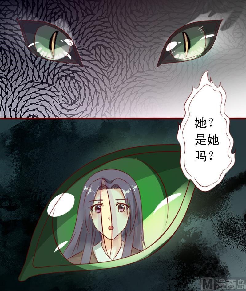 第65话 守护兽来了