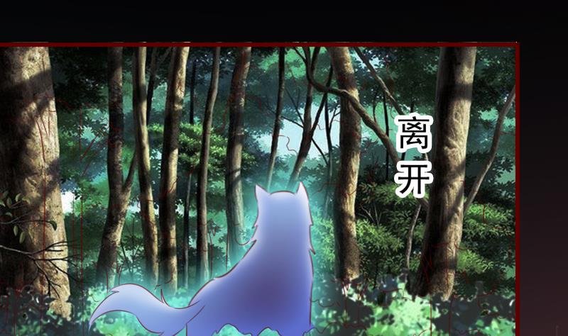 第65话 守护兽来了