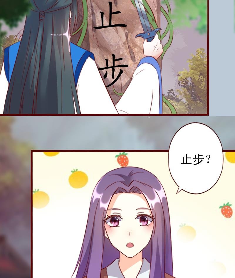 第65话 守护兽来了