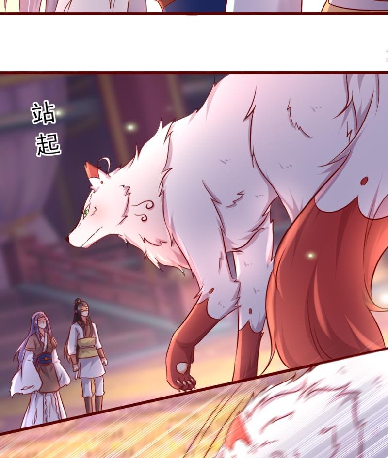 第75话 这群愚蠢的人类！