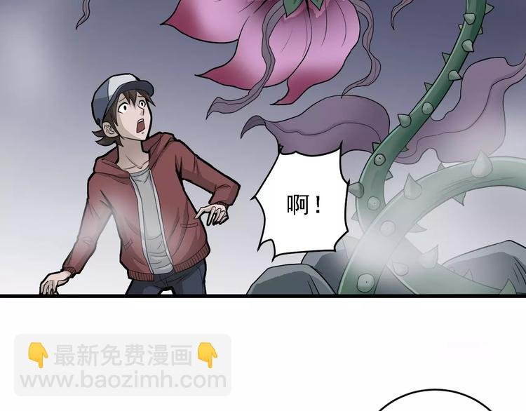 第12话 藏宝图之怪花