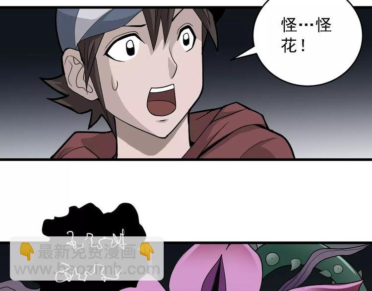 第12话 藏宝图之怪花
