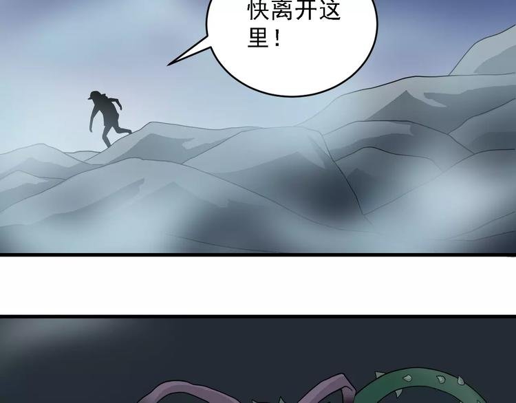第12话 藏宝图之怪花