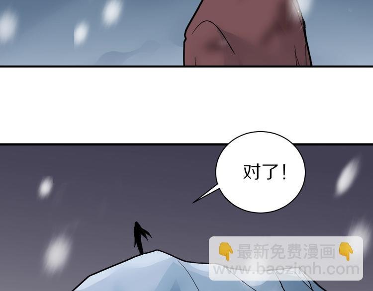 第80话 伪装