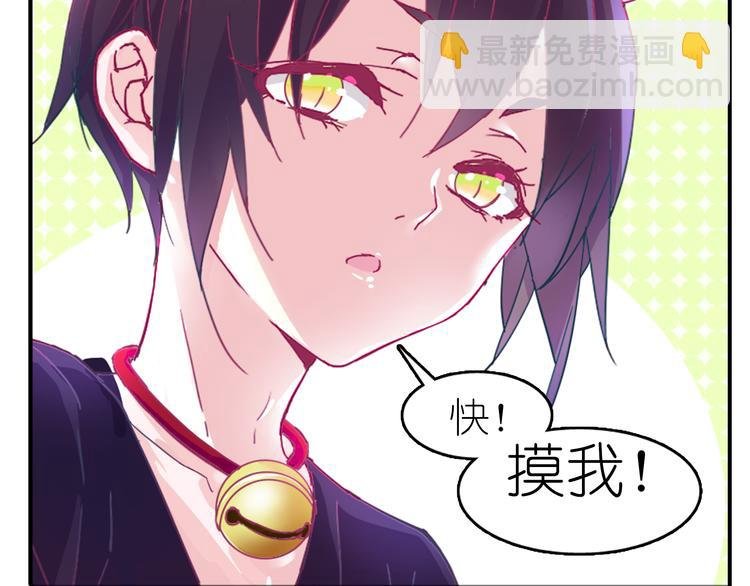 第1话 单身女汉子的美男室友