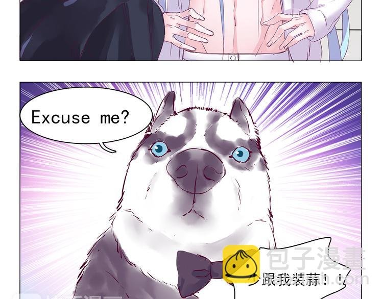 第6话 只想吃你的皇家狗粮