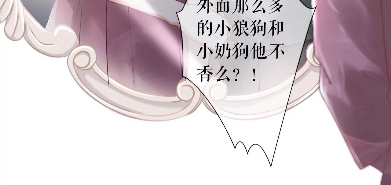 预告