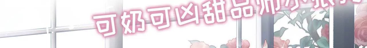 预告