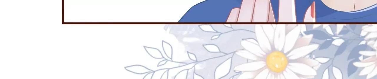 我的公主