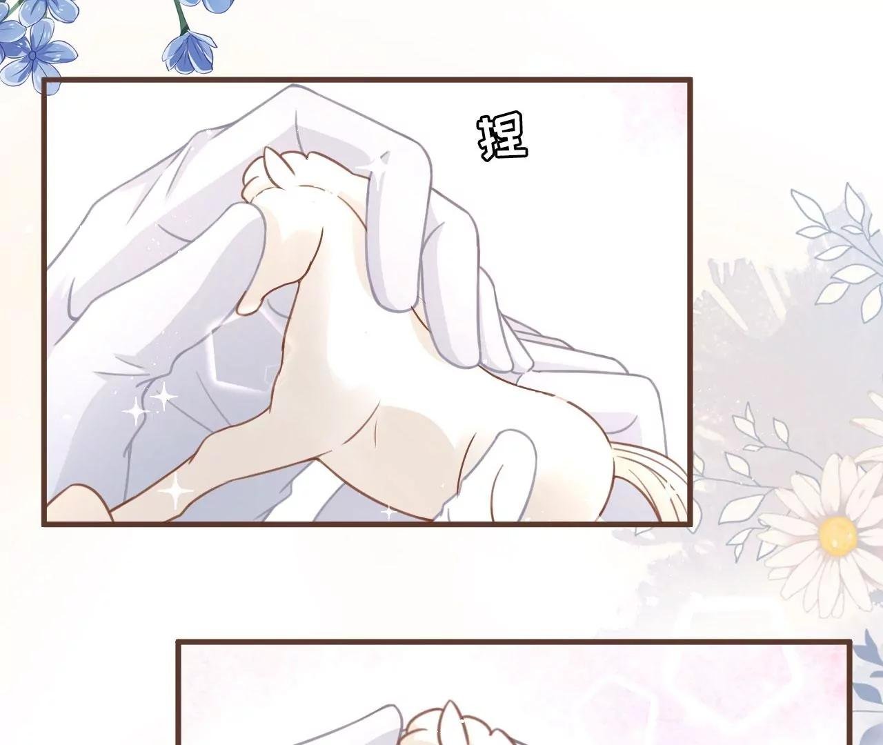 赔罪礼物