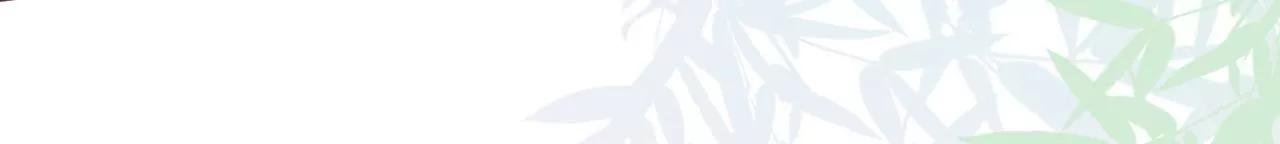 试探