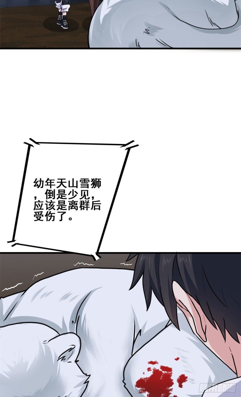64 小狮子的报恩