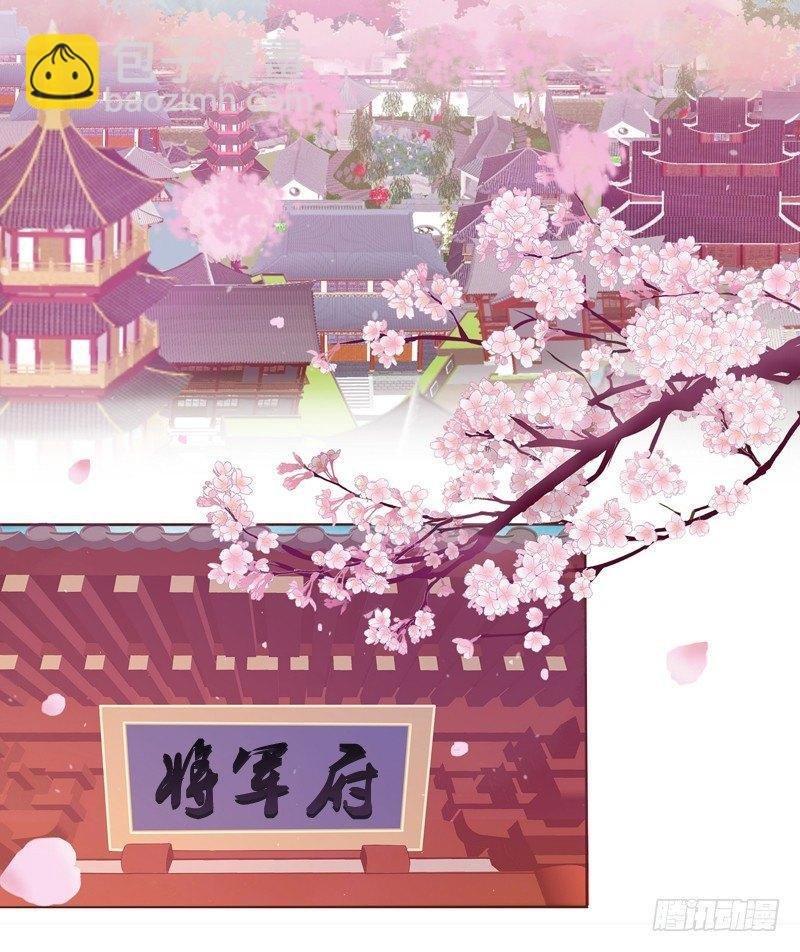 将军府的生活