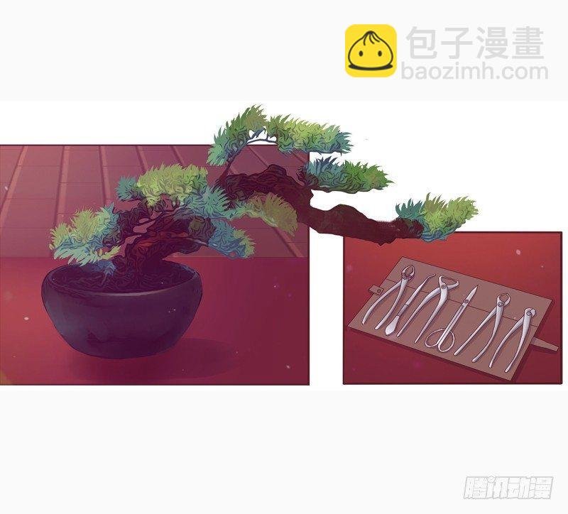 将军府的生活