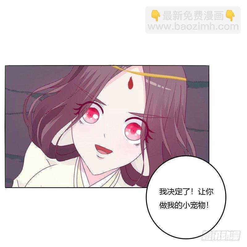 我的宠物