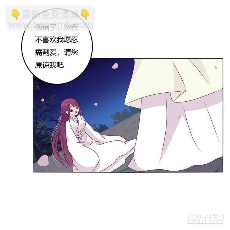 我的宠物