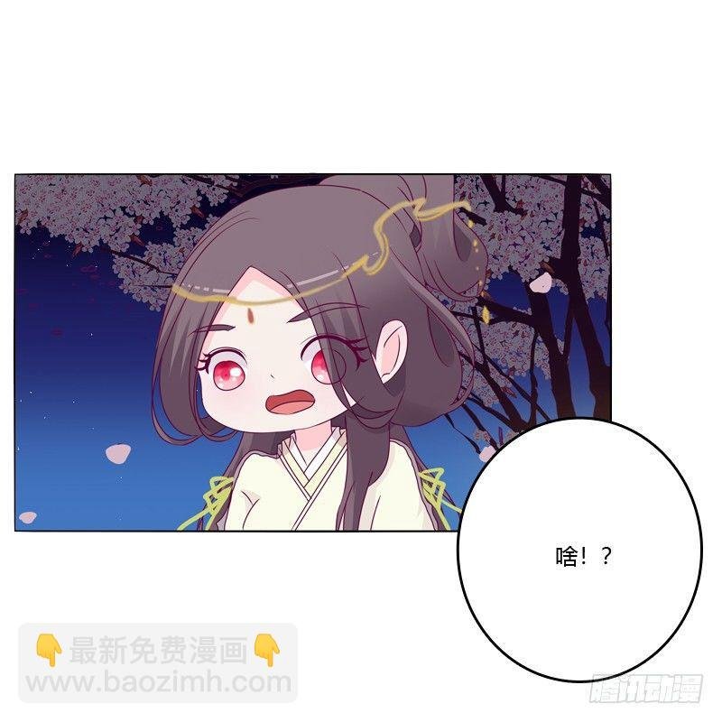我的宠物