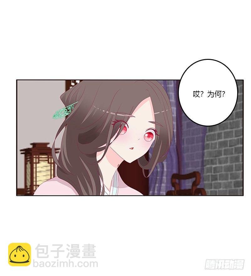 湛儿的小弟弟