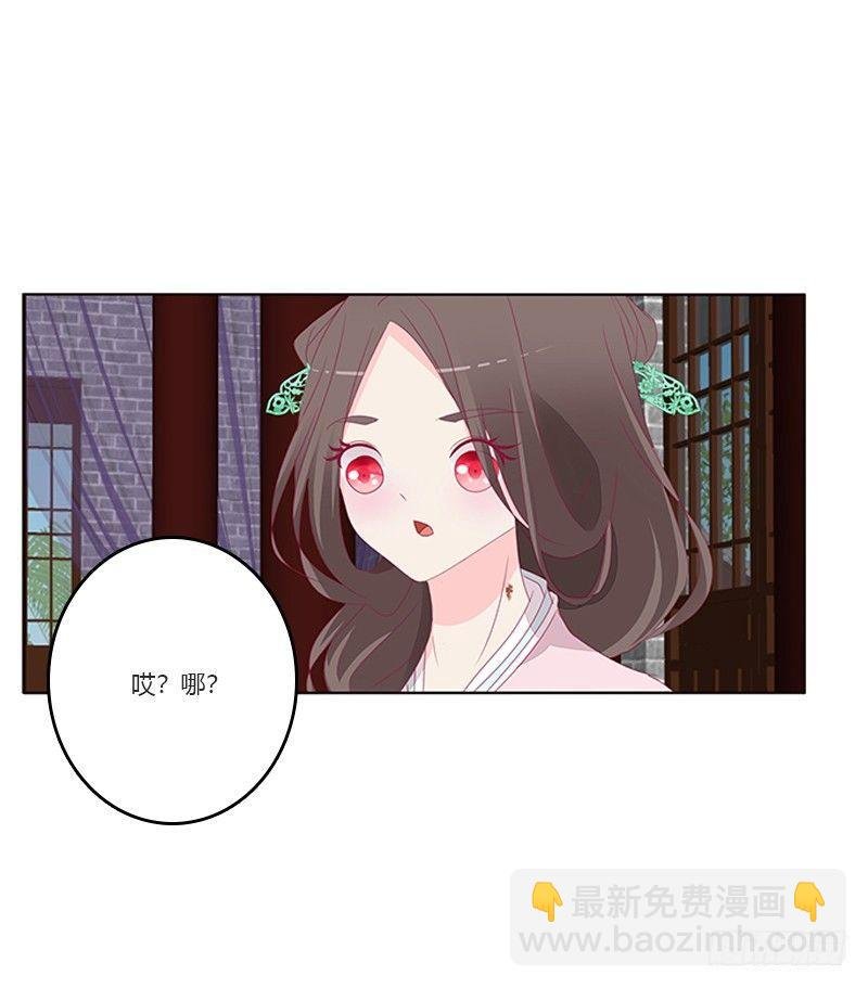 湛儿的小弟弟