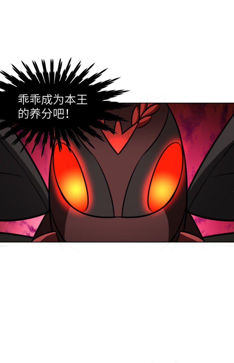 过分的约定（4）