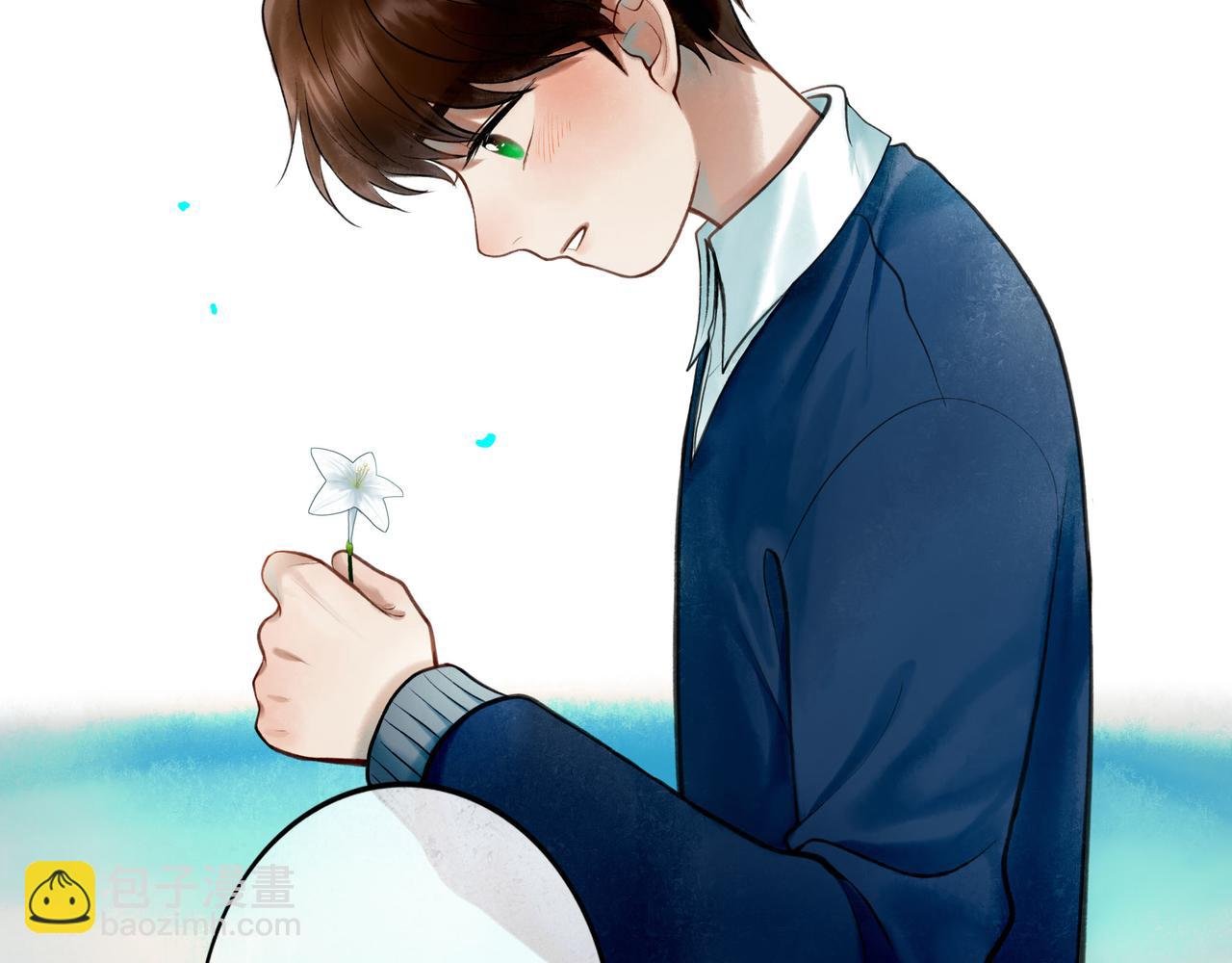 81.星星花