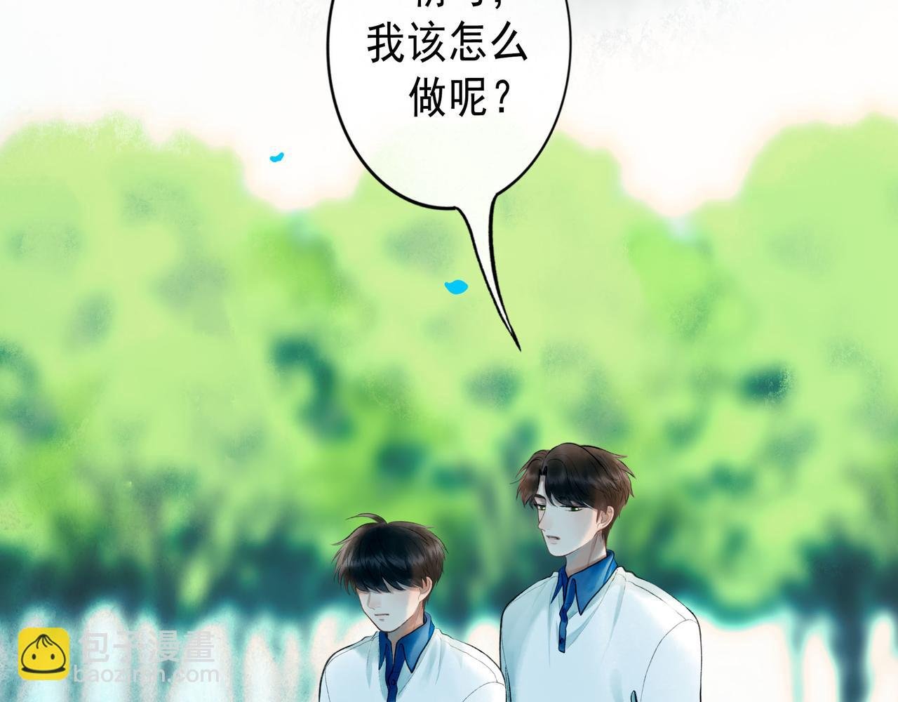 81.星星花