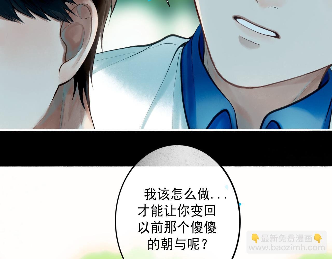 81.星星花