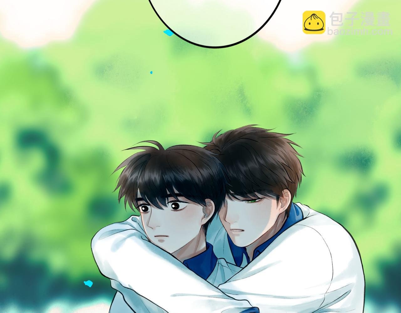 81.星星花