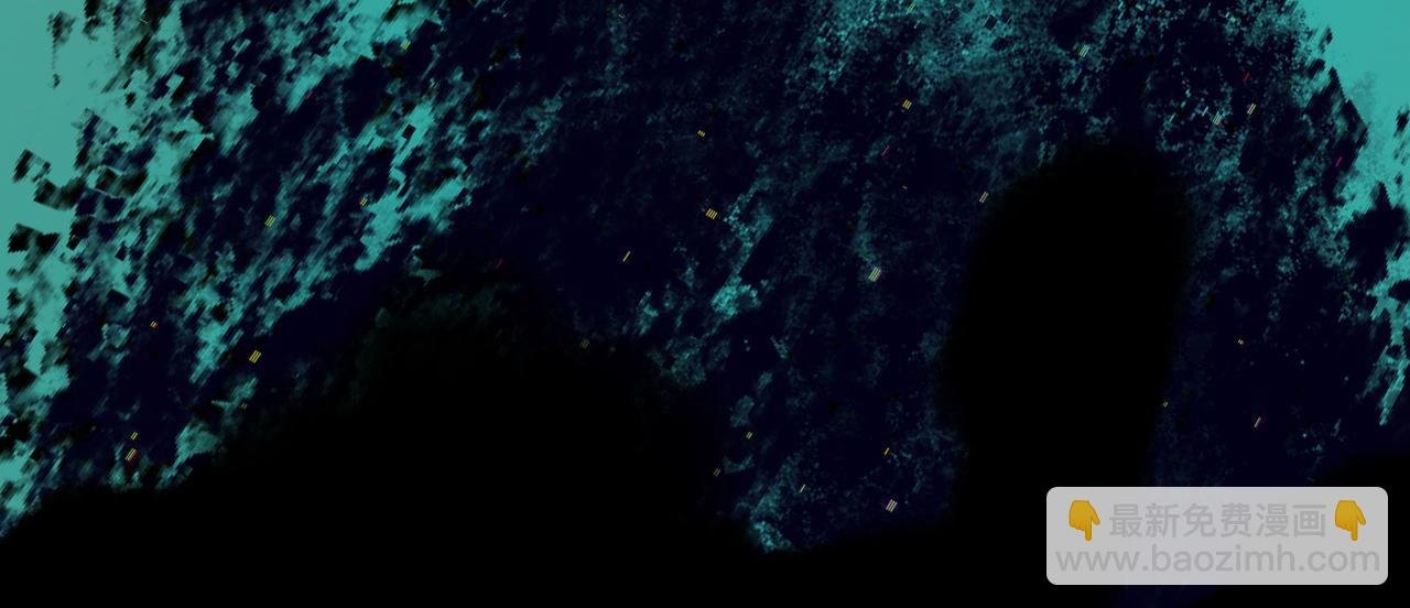 81.星星花
