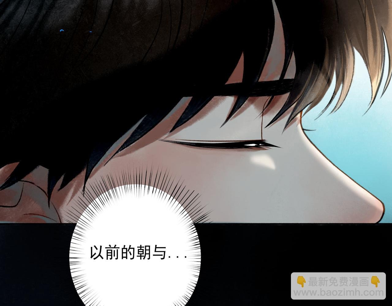 81.星星花