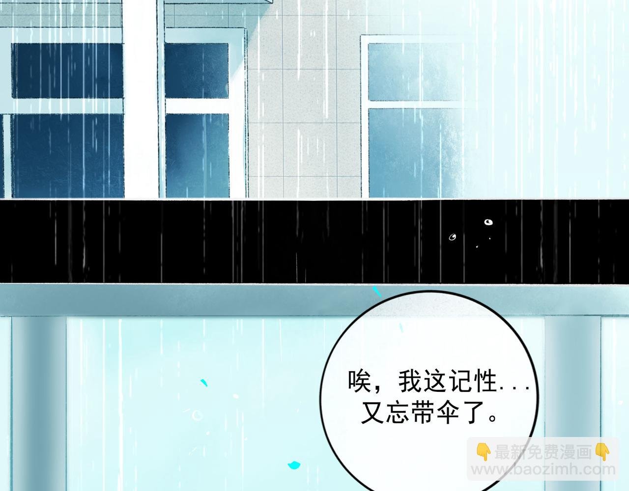 81.星星花