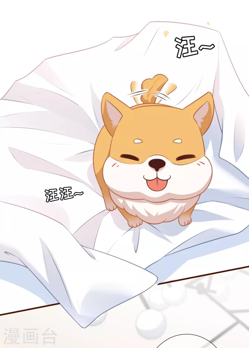 第118话 大哥现身
