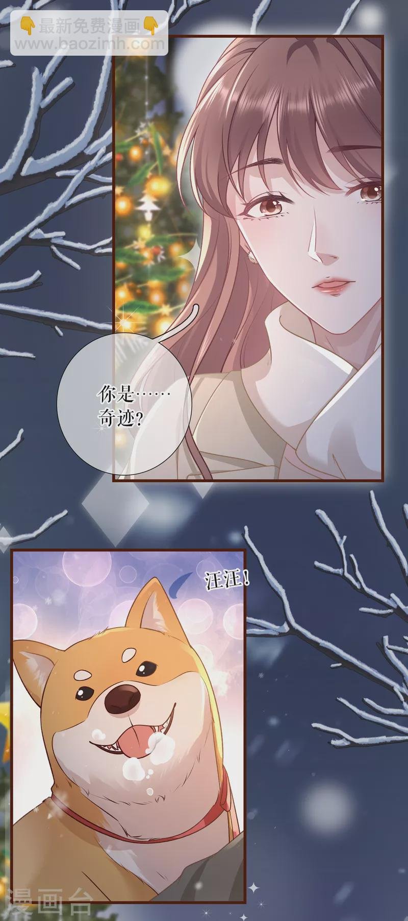 最终话 有情人终成眷属