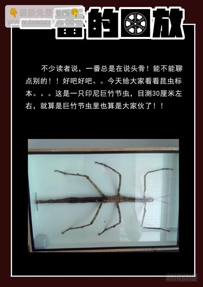 第22死 临死一笑