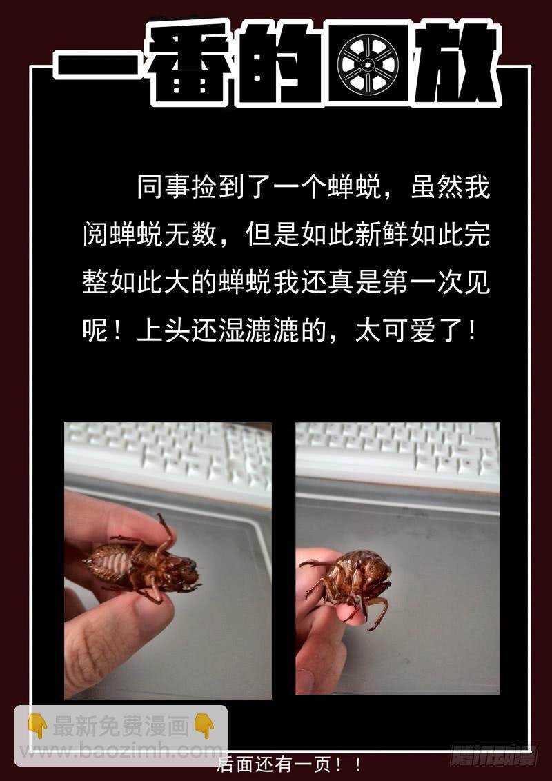 35死 异性出笼